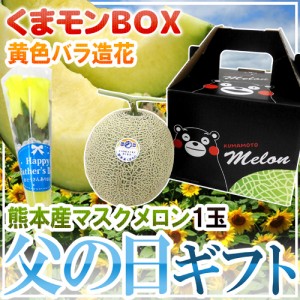 遅れてごめんね！父の日ギフト ”マスクメロン” 黄色バラ造花付き くまモン化粧箱 1玉 約1.5kg以上 熊本産【予約 6月17日以降】 送料無