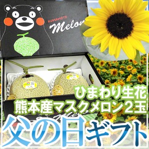 遅れてごめんね！父の日ギフト ”マスクメロン＋ひまわり生花” くまモン化粧箱 2玉 約3kg以上 熊本産【予約 6月17日以降】 送料無料