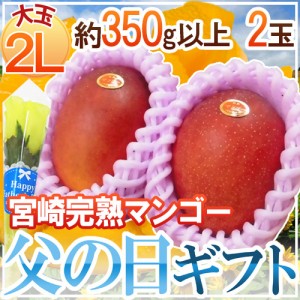 遅れてごめんね！父の日ギフト ”宮崎完熟マンゴー” 秀品 大玉2L 2玉+バラ造花1本【予約 6月17日以降】