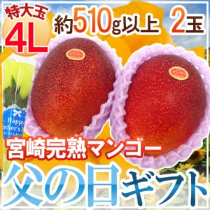 遅れてごめんね！父の日ギフト ”宮崎完熟マンゴー” 秀品 特大玉4L 2玉+バラ造花1本【予約 6月17日以降】 送料無料