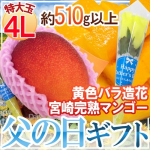 遅れてごめんね！父の日ギフト ”宮崎完熟マンゴー” 秀品 特大玉4L 1玉+バラ造花1本【予約 6月17日以降】 送料無料