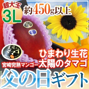 父の日ギフト ”太陽のタマゴ” 大玉3Lサイズ＋ひまわり生花1本【予約 6月9〜16日お届け予定】 送料無料