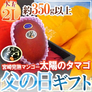 父の日ギフト ”太陽のタマゴ” 大玉2Lサイズ 化粧箱【予約 6月9〜16日お届け予定】 送料無料