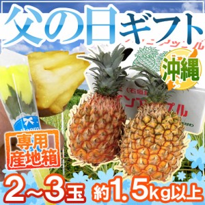 父の日ギフト ”スナックパイン” 2〜3玉 約1.5kg＋黄色バラ造花1本 専用産地箱【予約 6月9〜16日お届け予定】 送料無料