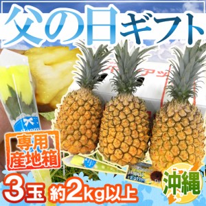 父の日ギフト ”スナックパイン” 3玉 約2kg以上＋黄色バラ造花1本 専用産地箱【予約 6月9〜16日お届け予定】 送料無料