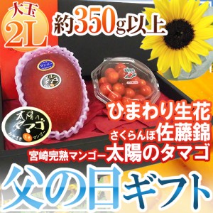 父の日ギフト ”佐藤錦＋太陽のタマゴ” 大玉2Lサイズ＋ひまわり生花1本【予約 6月9〜16日お届け予定】 送料無料