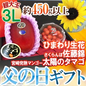 父の日ギフト ”佐藤錦＋太陽のタマゴ” 超大玉3Lサイズ＋ひまわり生花1本【予約 6月9〜16日お届け予定】 送料無料