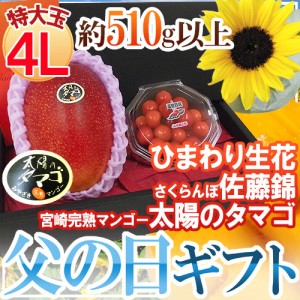 父の日ギフト ”佐藤錦＋太陽のタマゴ” 特大玉4Lサイズ＋ひまわり生花1本【予約 6月9〜16日お届け予定】 送料無料