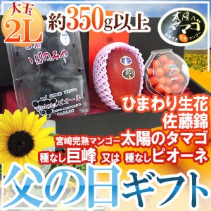 父の日ギフト ”佐藤錦＋種なし巨峰or種なしピオーネ＋太陽のタマゴ” 大玉2Lサイズ＋ひまわり生花1本【予約 6月9〜16日お届け予定】 送