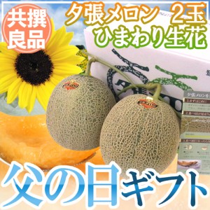 父の日ギフト ”夕張メロン” 共撰良品 2玉 約3.2kg＋ひまわり生花1本【予約 6月9〜16日お届け予定】 送料無料