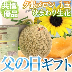 遅れてごめんね！父の日ギフト ”夕張メロン” 共撰優品 1玉 約1.6kg＋ひまわり生花1本【予約 6月17日以降】 送料無料