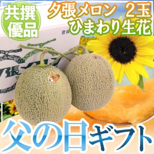 遅れてごめんね！父の日ギフト ”夕張メロン” 共撰優品 2玉 約3.2kg＋ひまわり生花1本【予約 6月17日以降】 送料無料