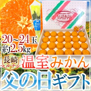 父の日ギフト ”長崎 マルナン 温室みかん” 秀品 20〜24玉前後 約2.5kg＋バラ造花1本【予約 6月9〜16日お届け予定】 送料無料