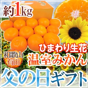 父の日ギフト ”有田 温室みかん” 秀品 12玉前後 約1kg＋ひまわり生花1本【予約 6月9〜16日お届け予定】 送料無料