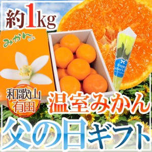 父の日ギフト ”有田 温室みかん” 秀品 12玉前後 約1kg＋バラ造花1本【予約 6月9〜16日お届け予定】 送料無料