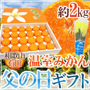 父の日ギフト ”有田 温室みかん” 秀品 24玉前後 約2kg＋バラ造花1本【予約 6月9〜16日お届け予定】 送料無料