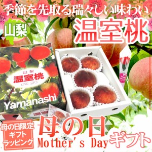 母の日ギフト ”山梨 温室桃” 化粧箱 3〜6玉 約1kg カーネーション造花付き【予約 5月3日〜5月12日お届け予定】 送料無料