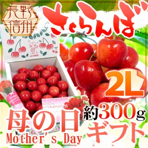 遅れてごめんね！母の日ギフト 長野産 ”さくらんぼ” 大粒2Lサイズ 産地箱 約300g カーネーション造花付き 佐藤錦/香夏錦【予約 5月13日