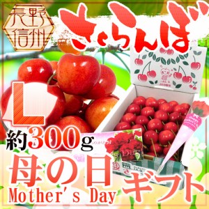 遅れてごめんね！母の日ギフト 長野産 ”さくらんぼ” Lサイズ 産地箱 約300g カーネーション造花付き 佐藤錦/香夏錦【予約 5月13日以降