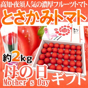 母の日ギフト ”とさかみトマト” 産地箱 約2kg カーネーション造花付き【予約 5月3日〜5月12日お届け予定】 送料無料