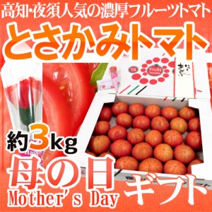 母の日ギフト ”とさかみトマト” 産地箱 約3kg カーネーション造花付き【予約 5月3日〜5月12日お届け予定】 送料無料