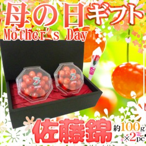 母の日ギフト ”佐藤錦” カーネーション造花付き 化粧箱 約100g×2pc【予約 5月3日〜5月12日お届け予定】 送料無料