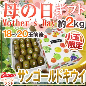 遅れてごめんね！母の日ギフト ”ゼスプリ サンゴールドキウイ” 小玉 18〜20玉前後 約2kg カーネーション造花付 ニュージーランド産【予