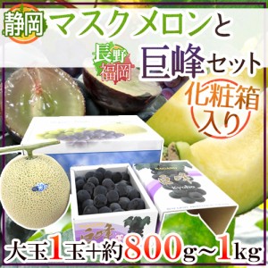 ”静岡マスクメロン＋巨峰セット” 等級白以上 大玉1玉 約1.7〜2kg ＋ 2〜3房前後 約800g〜1kg【予約 6月以降】 送料無料