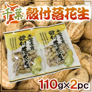 千葉産 ”殻付落花生” 110g×2袋 国産 ピーナッツ【ポスト投函送料無料】【予約 入荷次第発送】