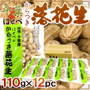 千葉産 ”からつき落花生” 110g×12袋 はせべ 国産 ピーナッツ【予約 入荷次第発送】 送料無料