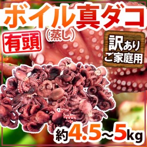 ”ボイル真タコ” 訳あり 約4.5〜5kg 大きさおまかせ【予約 入荷次第発送】 送料無料