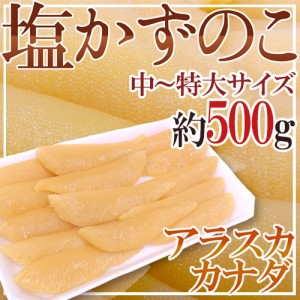 アラスカ・カナダ・北海道 ”塩数の子” 中〜特大サイズ 約500g おせち♪ご家庭・業務用にも♪塩かずのこ【予約 入荷次第発送】 送料無料