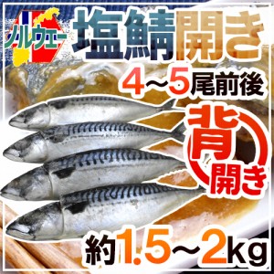 ノルウェー ”塩鯖開き” 4〜5尾前後 約1.5〜2kg 背開き 塩サバ 送料無料