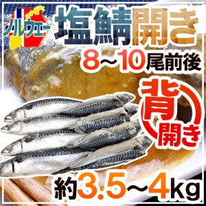 ノルウェー ”塩鯖開き” 8〜10尾前後 約3.5〜4kg 背開き 塩サバ 送料無料