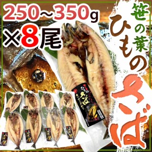 ”笹の葉ひもの さば” 約250〜350g×8尾 鯖の干物 送料無料