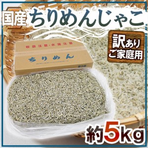 国産 ”ちりめんじゃこ” 訳あり 約5kg しらす干し 送料無料