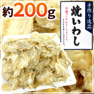 ”おつまみ 焼いわし 約200g” 珍味 炙りイワシ 焼きいわし【ポスト投函送料無料】【予約 入荷次第発送】