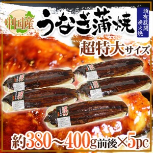 ”うなぎ蒲焼” 約380〜400g前後×5pc 中国産 ウナギ/鰻/有頭腹開/暑さ対策_c 送料無料