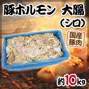 国産 ”豚大腸（シロ）ボイル” 約10kg 未カット