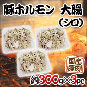 国産 ”豚大腸（シロ）ボイル” 約900g （約300g×3pc） カット済み