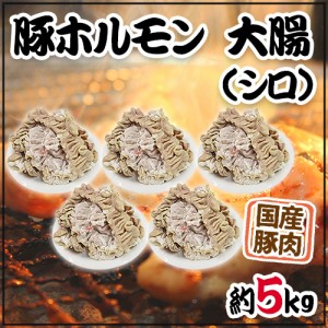 国産 ”豚大腸（シロ）ボイル” 約5kg 未カット