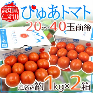 高知県 仁淀川 ”ぴゅあトマト” 風袋込約1kg×《2箱》 化粧箱【予約 6月中旬以降】 送料無料