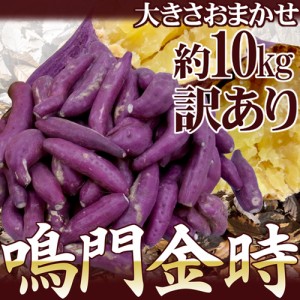 徳島県産 ”鳴門金時” 訳あり 約10kg 大きさおまかせ さつまいも【予約 入荷次第発送】