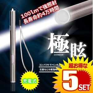 極眩 LED ペン ライト 小型 懐中電灯 USB 充電式 災害 防災 緊急 ツール キャンプ アウトドア 釣り USB アウトドア EGLARE の【5個セット