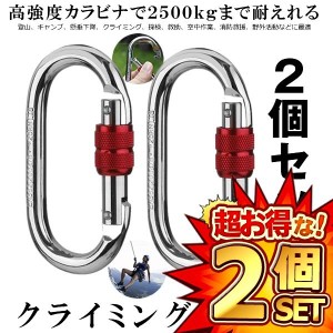 2セット 登山用 カラビナ 25KN 2個セット×2 クライミングカラビナ ハードスチール 登山用具 2-KARABI25