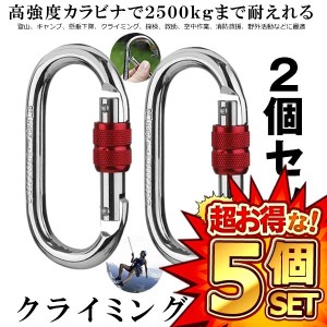 5セット 登山用 カラビナ 25KN 2個セット×5 クライミングカラビナ ハードスチール 登山用具 2-KARABI25