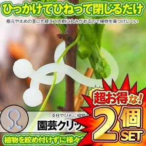 2個セット 園芸 クリップ 100個入り 支柱 接木 つる 誘引 結束 バンド 園芸用便利クリップ 園芸用具 ガーデニング 100-ENCRI