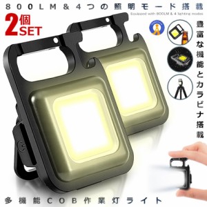 2個セット 800LM 多機能 COBライト 4つの照明モード栓抜き 作業灯 投光 ライト LED ミニ投光器 USB充電式 高輝度 キーホルダー式 登山 夜