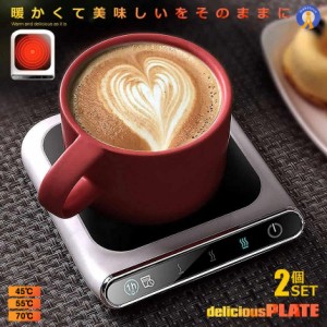 2個セット デリシャスホットプレート 保温 カップ コースター コーヒー お茶 ミルク オフィス 家庭用 多機能 USB給電 3速サーモスタット