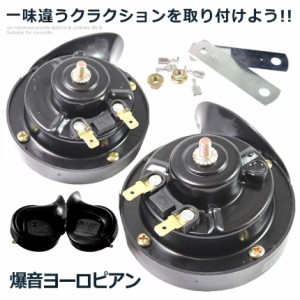 爆音 ヨーロピアン 24Vタイプ 電子ホーン 快音 クラクション 24V ブラック HORN02-24